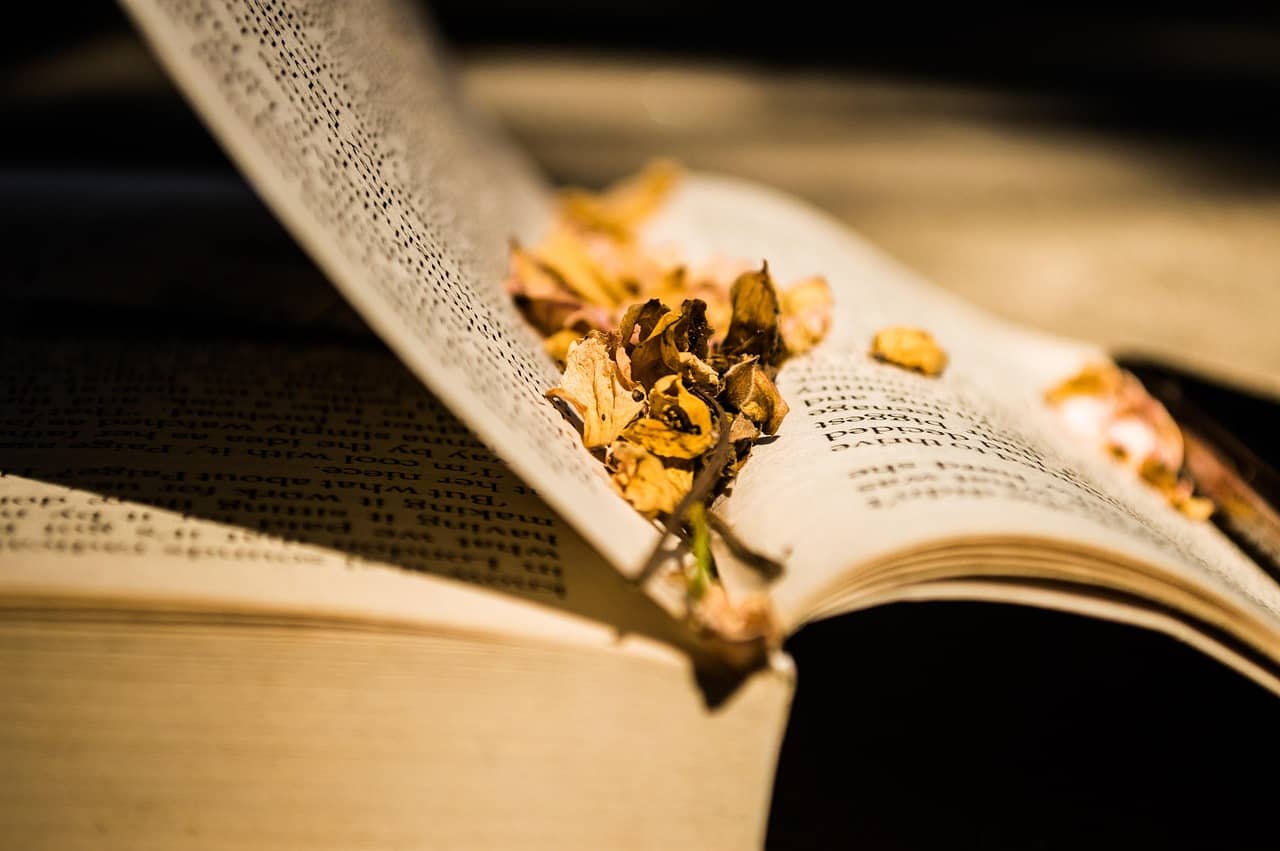 Background for verse 3